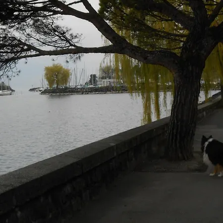 Apartamento Kieper Clarens