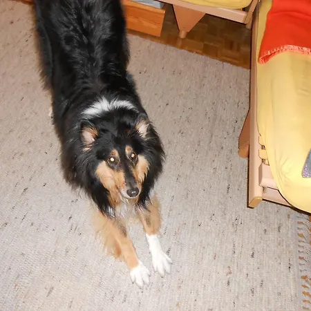 Apartamento Kieper Clarens