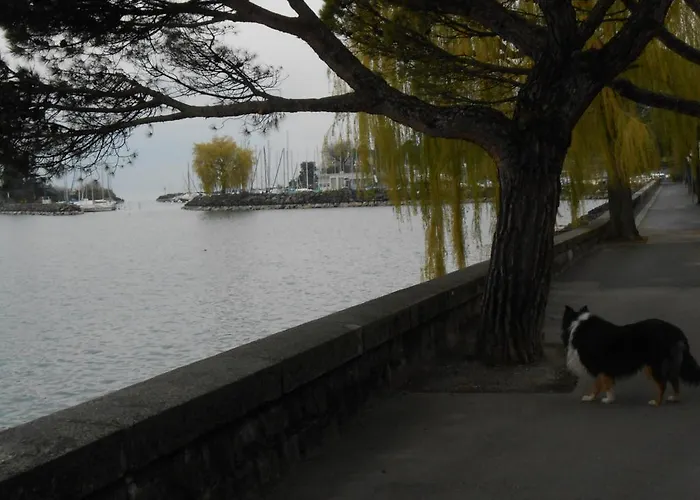 Lejlighed Kieper Clarens