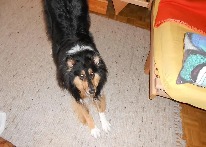 Lejlighed Kieper Clarens